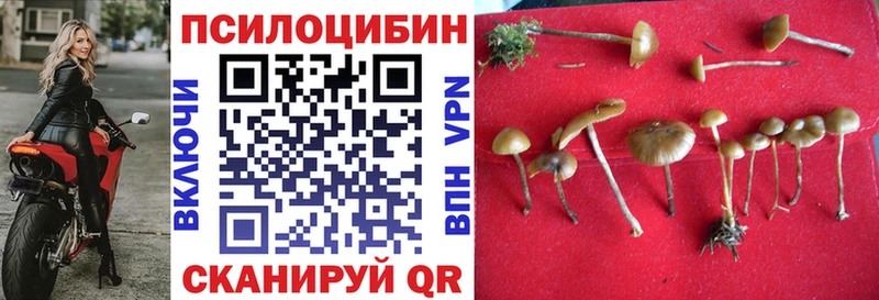 Псилоцибиновые грибы мицелий хочу дарк нет наркотические препараты Маркс kraken вход